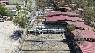 Kahramanmaraş’ta 5 binin üzerinde can dosta güvenli yaşam alanı