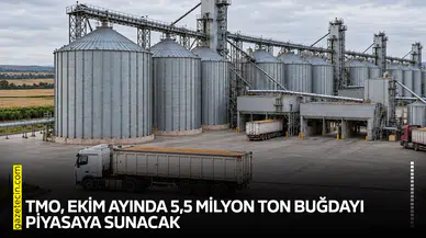 TMO, Ekim ayında 5,5 milyon ton buğdayı piyasaya sunacak