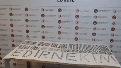 Gümrük kapısında yapılan operasyonlarda 7 bin 160 tarihi eser yakalandı