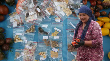 Çıtak, yaygınlaşmasını istediği ata tohumlarını 11 yıldır ücretsiz dağıtıyor