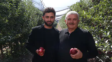 25 yaşındaki genç, babasının elma bahçesini 3 yılda 730 dönüm büyüttü