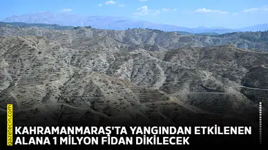 Kahramanmaraş'ta yangından etkilenen alana 1 milyon fidan dikilecek