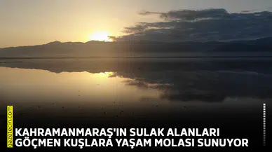 Kahramanmaraş'ın sulak alanları göçmen kuşlara yaşam molası sunuyor