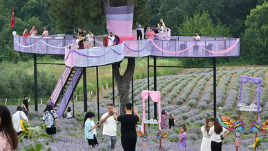Osmaniye'de Lavanta ve Zeytin Çiçeği Festivali düzenlendi