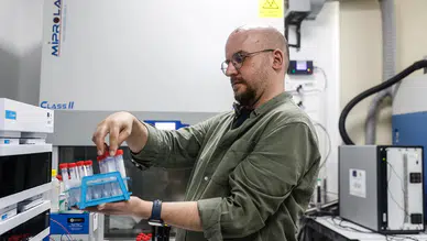 Marmara Denizi'nde bazı bölgelerde plastik kirliliği 3 katına çıktı