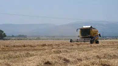 Türkiye'den 6 ayda 5,8 milyar dolarlık hububat ve bakliyat ihracatı