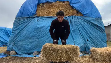 Milli kuraşçı Diyar Savcı, köyünde güç depoluyor