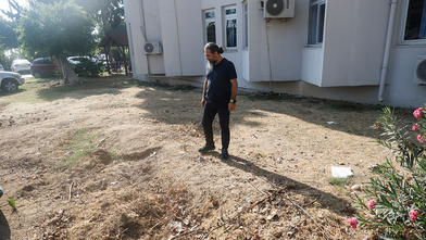 4 yıl önce gömülmüştü, bilimsel çalışma için yeniden çıkarılacak