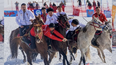 Ata sporu kökbörü Türkiye'de yaygınlaşıyor