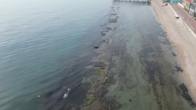 Deniz suyu 7 metre çekildi! Kral Yolu gün yüzüne çıktı