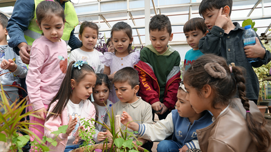 Minik bahçıvanlar, Kahramanmaraş’ta kurulan seralarda buluştu