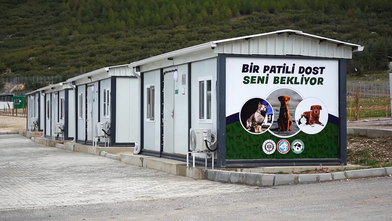 Sahipsiz hayvanlar için modern rehabilitasyon merkezi