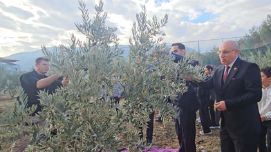 Şehitler için dikilen zeytin fidanlarının geliri TSK Güçlendirme Vakfı'na bağışlandı