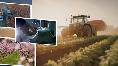 Tarımsal destekleme ödemeleri çiftçilerin hesaplarına aktarılıyor