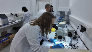 Türk bilim insanları yeni bir buluş için kolları sıvadı