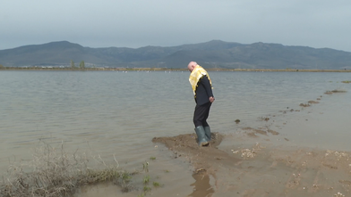TZOB Genel Başkanı Bayraktar, yağışlardan etkilenen bölgeleri inceledi