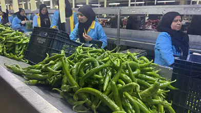 Türkiye'nin biber ihracatının yüzde 74'ü Batı Akdeniz'den