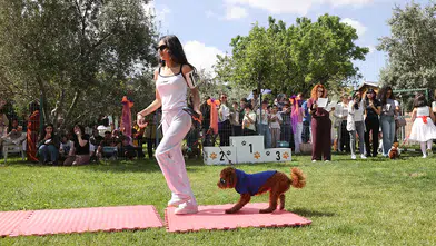 Gaziantep'te köpek güzellik yarışması düzenlendi