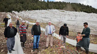 Kar yağışının zarar verdiği tarım alanları incelendi