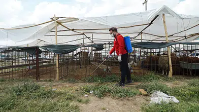 Kahramanmaraş’ta temizlik ve ilaçlama çalışmaları aralıksız devam ediyor