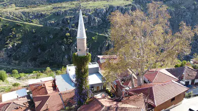 Isparta'da sarmaşıklı minare görenlerin dikkatini çekiyor