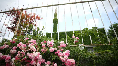 Sarmaşık kaplı cami baharın gelişiyle yeşil görünüme kavuştu