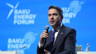 Çeşitlendirme ve daha fazla enterkoneksiyon bir arada yürütülmeli