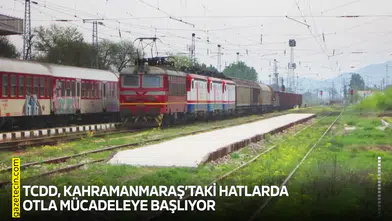 TCDD, Kahramanmaraş’taki hatlarda otla mücadeleye başlıyor