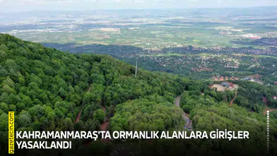Kahramanmaraş'ta ormanlık alanlara girişler yasaklandı