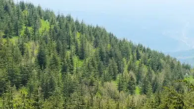 Çevreye 7 yılda toplam 4,41 milyar liralık yatırım