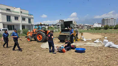 Hatay'da tarlada tarım makinesine sıkışan işçi öldü