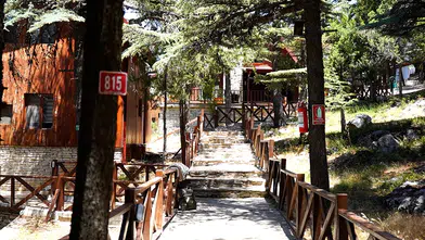 Mikrokliması ve mavi sedir ormanlarıyla Kızıldağ, ziyaretçilerini ağırlıyor