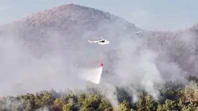 Milas'ta ormanlık alanda yangın! 1120 kişi tahliye edildi