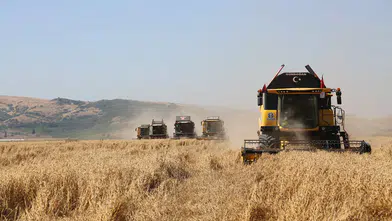 TİGEM Türkiye'nin bütün hububat tohumunu tek başına üretebilecek kapasitede