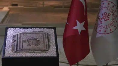 ABD'den iade edilen Zeugma mozaik paneli evine kavuştu