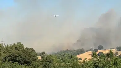Altıeylül ilçesinde orman yangını! Yangına havadan ve karadan destek