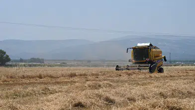 Türkiye'den 6 ayda 5,8 milyar dolarlık hububat ve bakliyat ihracatı