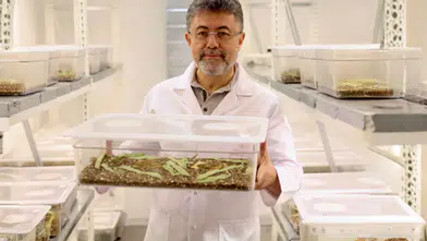 Zararlılarla mücadelede pestisit kalıntı eylem planı uygulanıyor