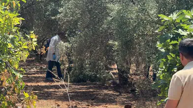 Zeytinlikte elleri arkadan bağlı olan bir genç ölü olarak bulundu