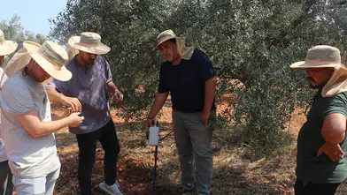 Kooperatif kuran doktorlar zeytin verimi için yapay zekadan destek alıyor