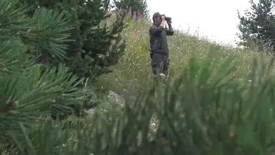 Doğu Anadolu'da 655 bin hektarlık ormanda alev nöbeti