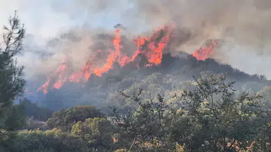 Kaş’ta makilik alanda yangın! Ekipler alevlere müdahale ediyor