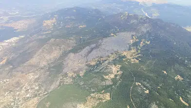 Ormanların korunmasına 6 ayda yaklaşık 16,5 milyar lira harcandı
