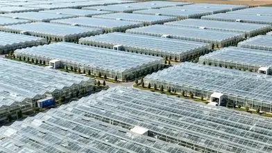 Silopi Sera OTB ekonomiye yıllık 1,2 milyar lira katkı sağlayacak