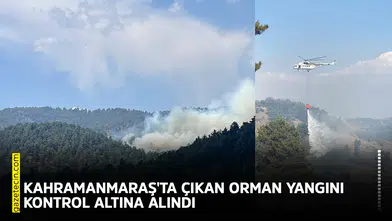 Kahramanmaraş'ta çıkan orman yangını kontrol altına alındı