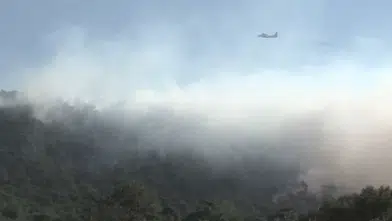Muğla'da çıkan orman yangını! Ekipler sahada görevde