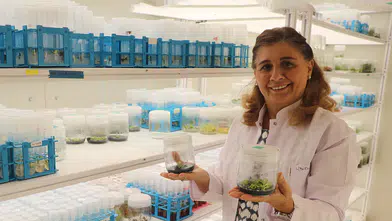 TÜBİTAK destekli projeyle yeni tohum çeşitleri geliştiriliyor