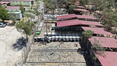 Kahramanmaraş’ta 5 binin üzerinde can dosta güvenli yaşam alanı