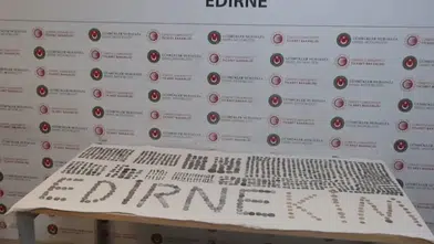 Gümrük kapısında yapılan operasyonlarda 7 bin 160 tarihi eser yakalandı