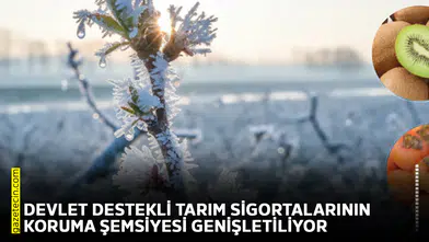 Devlet destekli tarım sigortalarının koruma şemsiyesi genişletiliyor